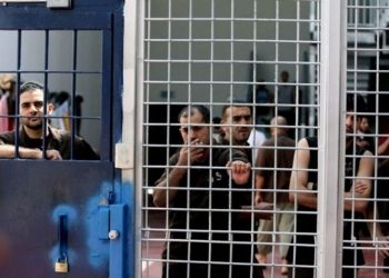 250 أسيراً فلسطينياً أمضوا أكثر من 40 عيداً في سجون الاحتلال