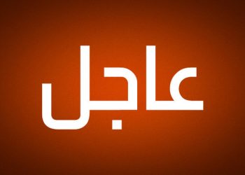 وزير الخارجية الإماراتي عبد الله بن زايد يصل إسرائيل في زيارة رسمية