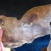 الخلاف السعودي – الإماراتي في اليمن… ليس بسيطاً هكذا