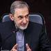ولايتي للأعداء: أمن باب المندب أيضاً في يد أنصار الله.. وأي عمل شيطاني سيُقابل برد متسلسل